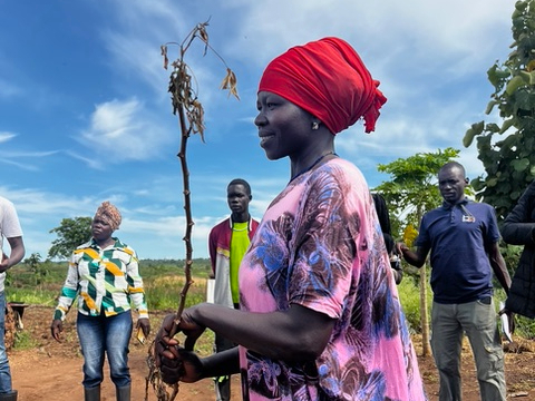 Woman holding plant