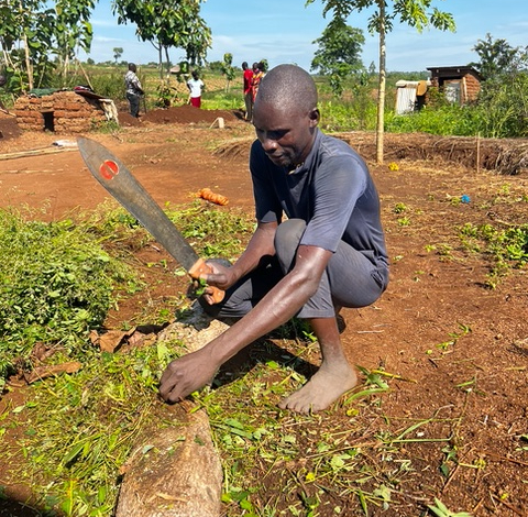 Man cuts plants with machette