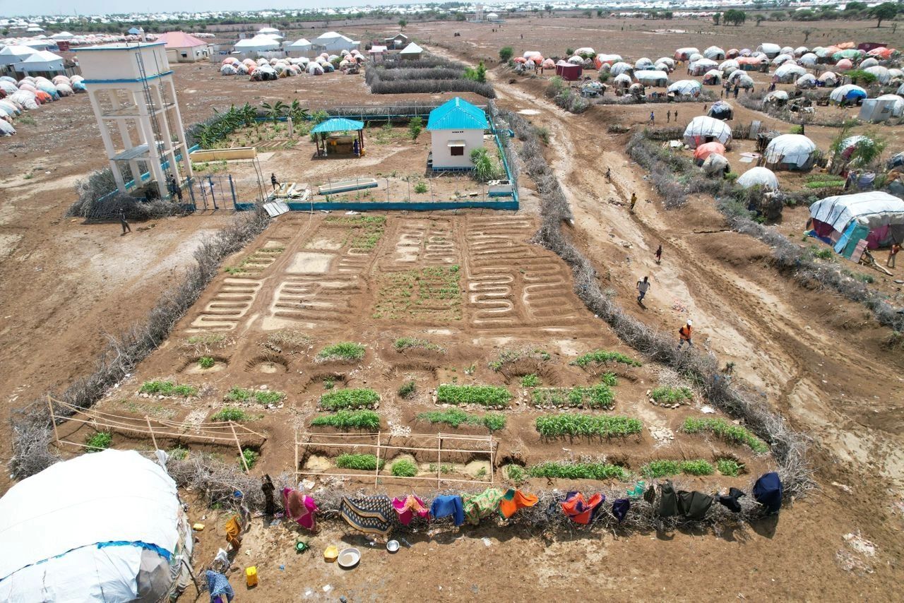 Aerial image of a permagarden plot