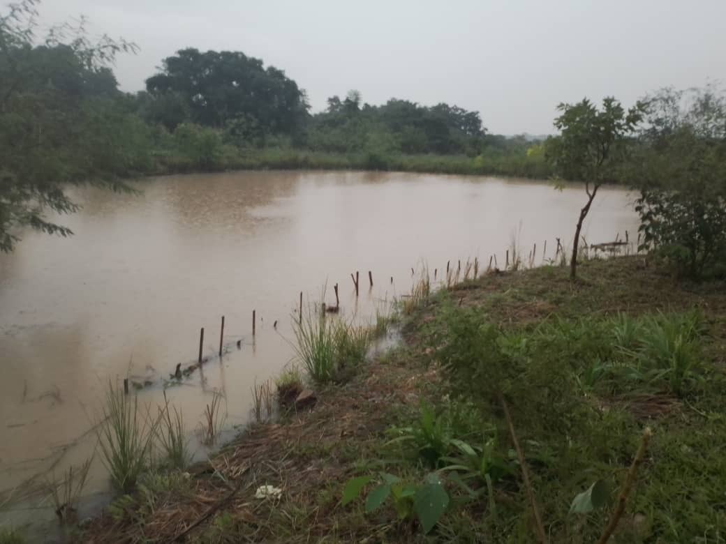 Dam filled with water