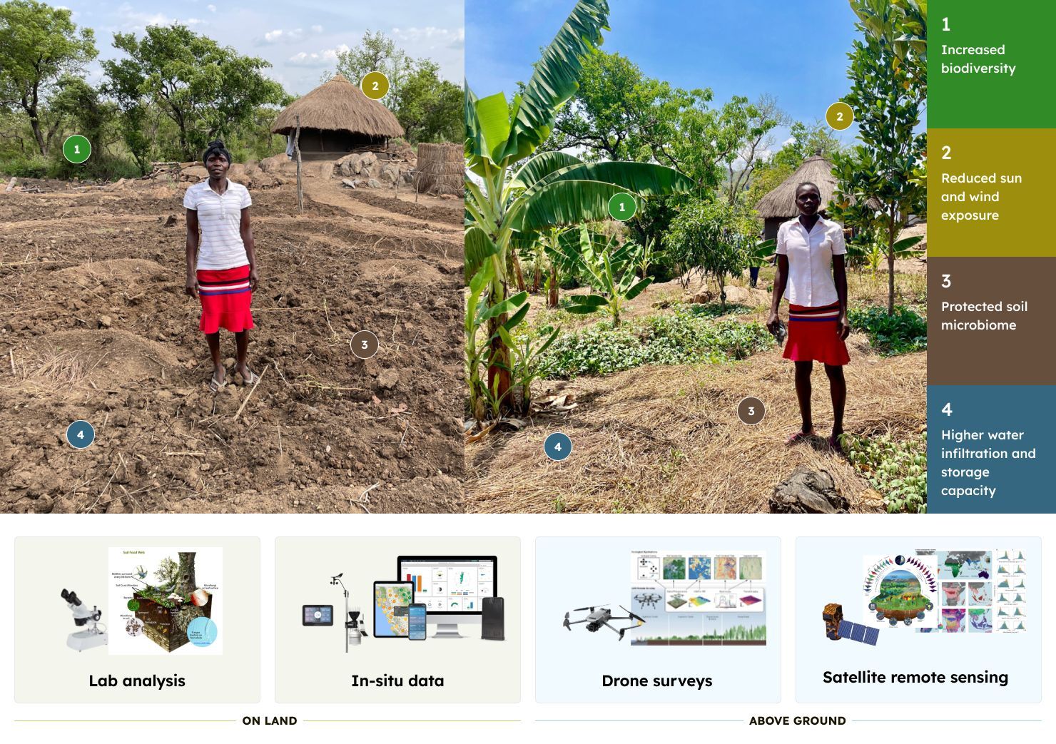 A before and after photo of a garden with overlays explaining scientific methods including drone surveys, satellite remote sensing, in-situe data, and lab analysis