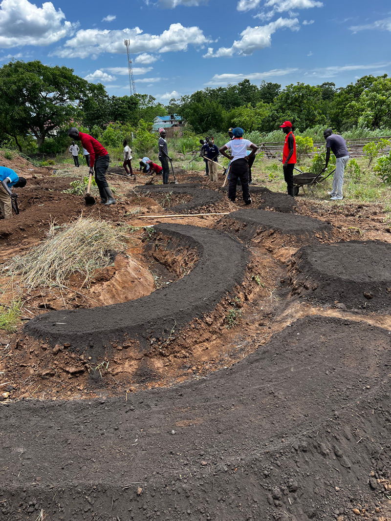 Deeply prepared garden beds. Soil amended with dried manure.