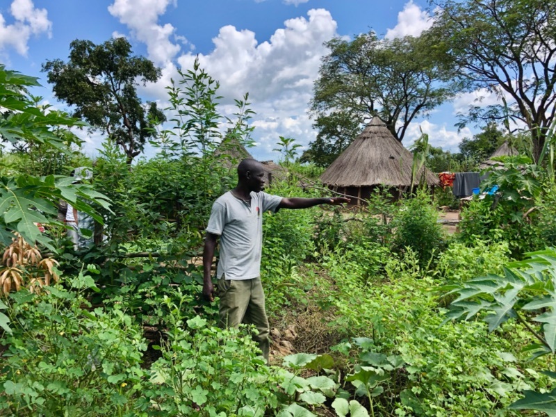 Man standing in the middle of a permagarden that has a variety of plants and trees. 