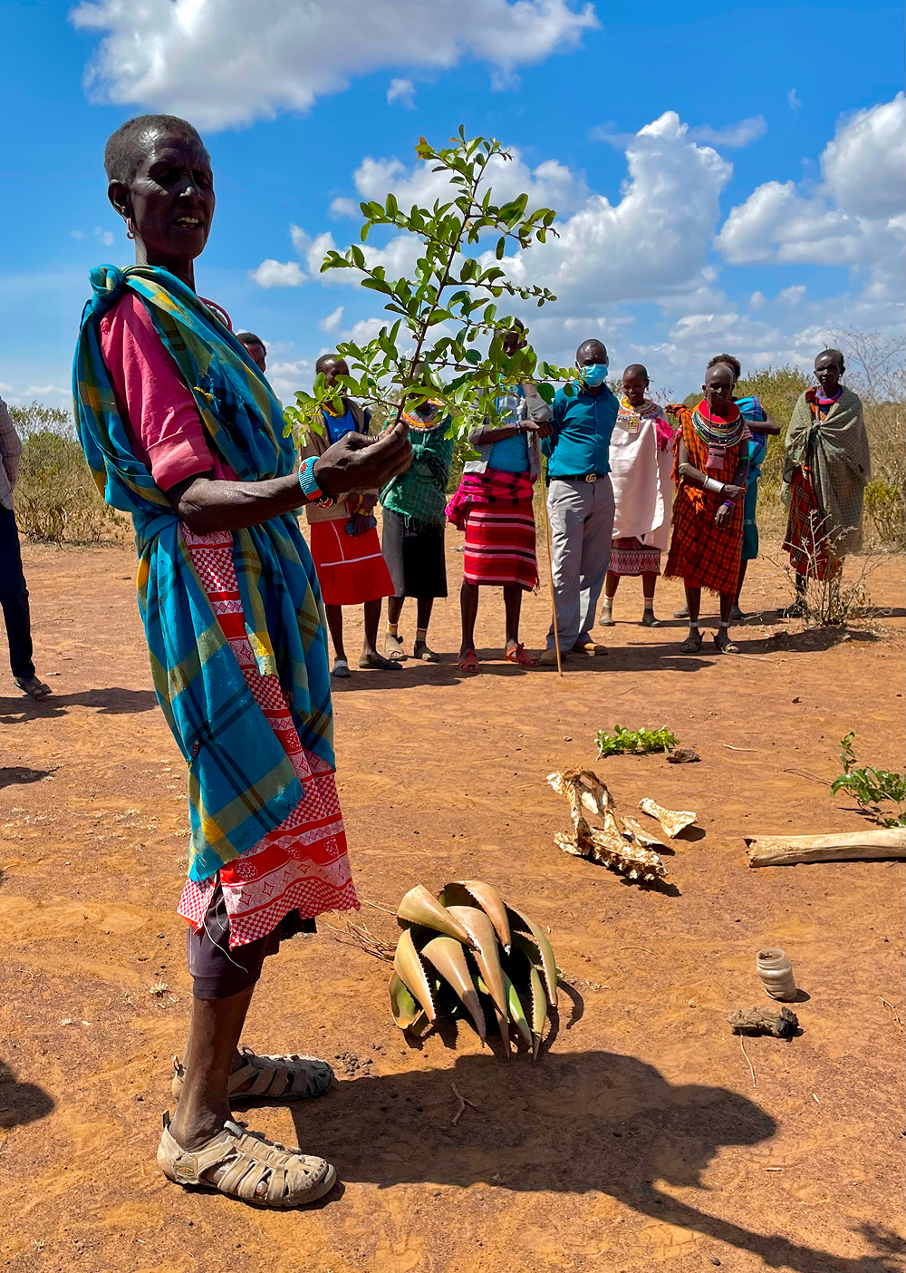 A woman holds a plant in front of a group.