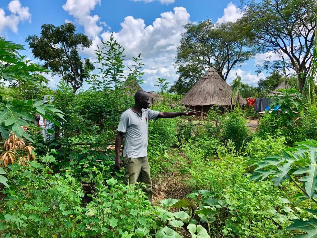Man standing in the middle of a permagarden that has a variety of plants and trees.