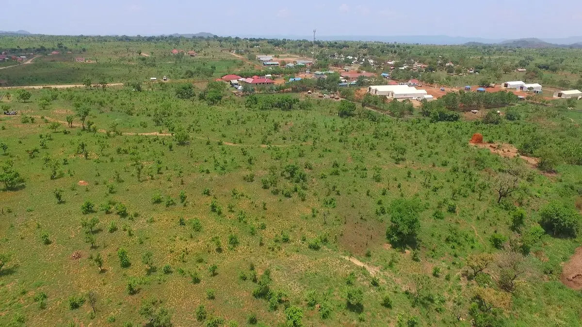A before and after aerial image of Lok Neno, a multi-acre plot of land in northern Uganda. Before image shows green grass with a few trees growing throughout the land.