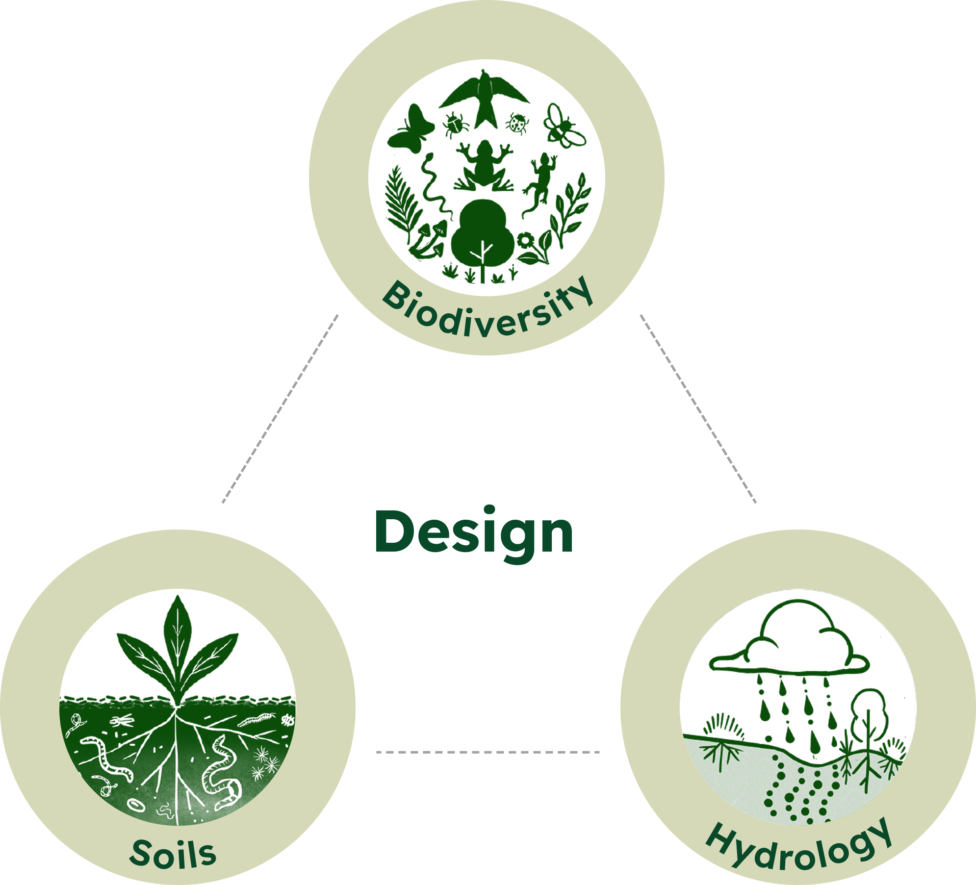 Illustration: three elements: biodiversity, soils and hydrology surrounding the word design.