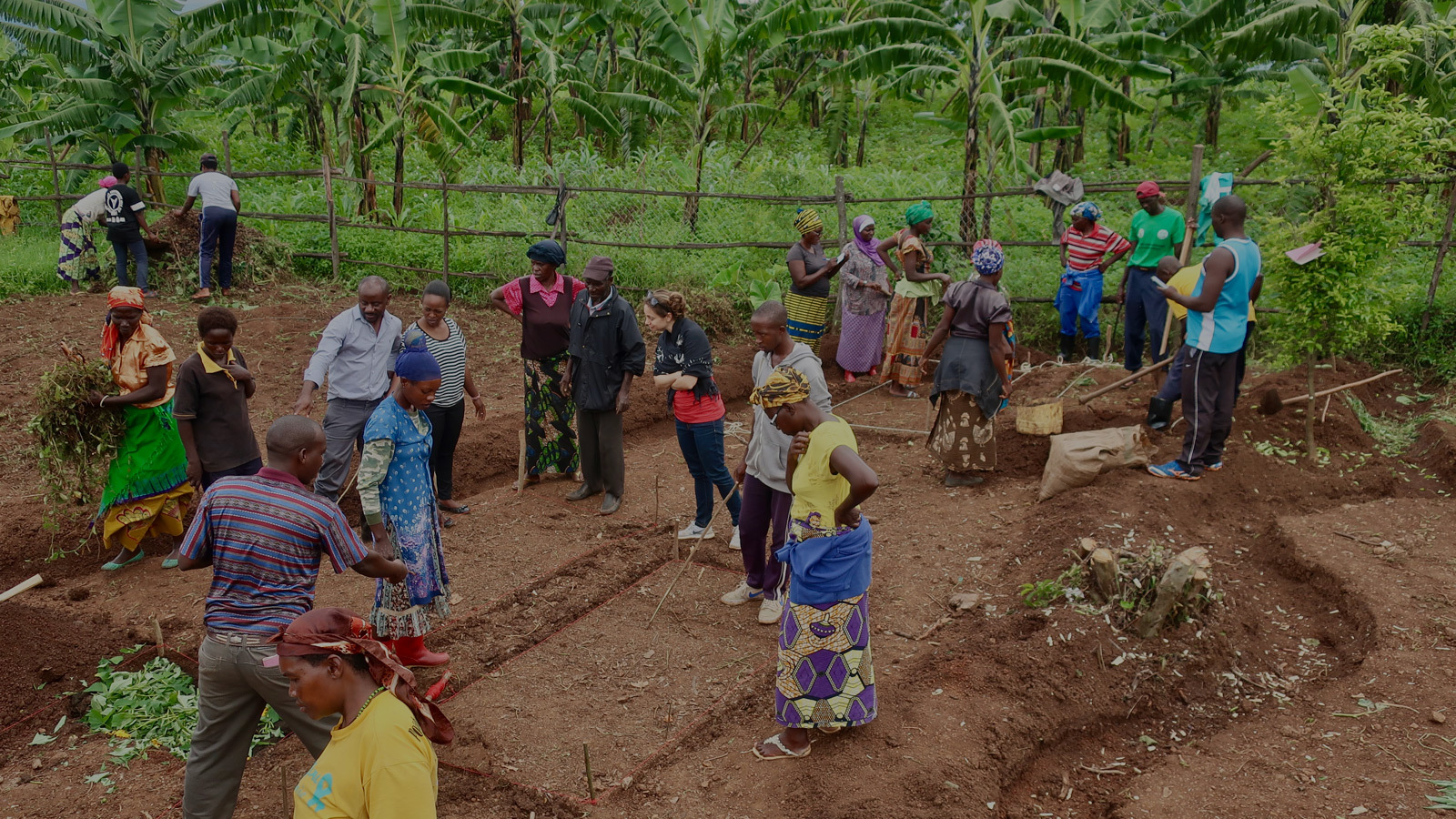 Group of people standing in a permagarden