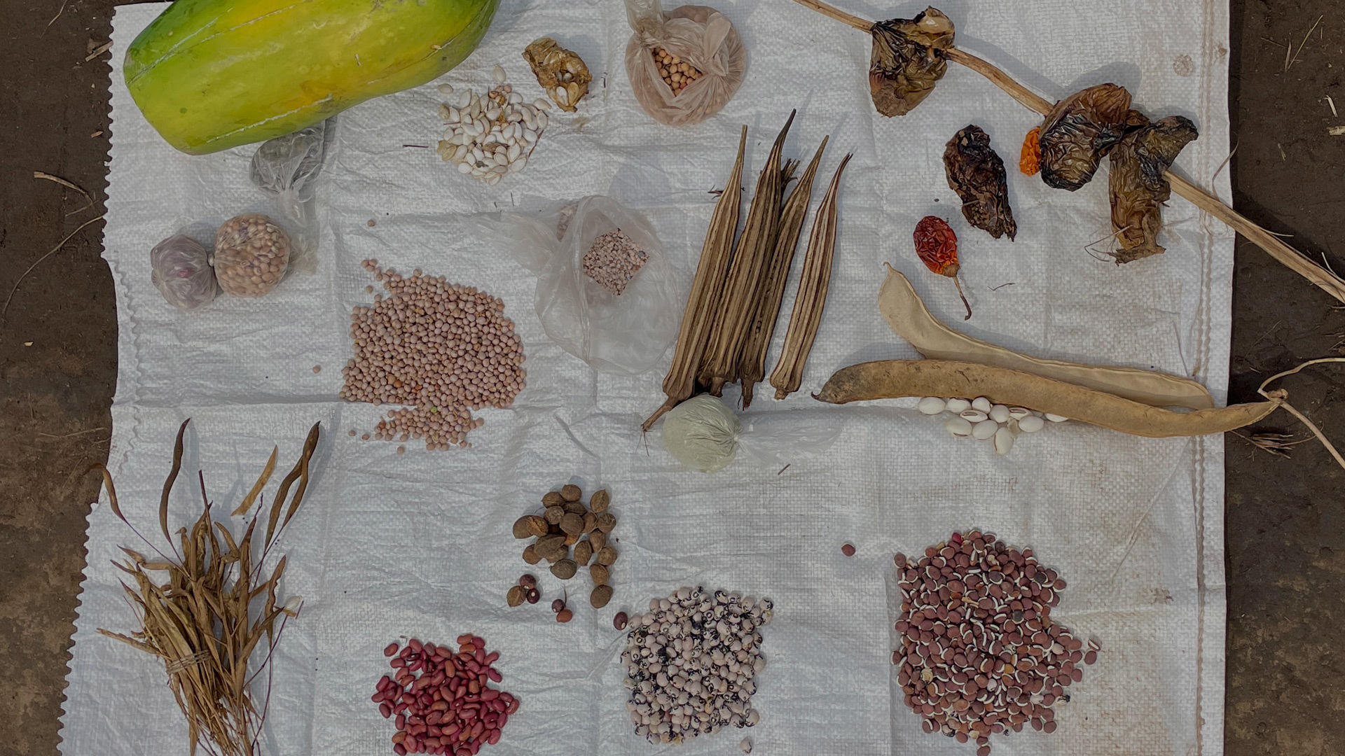 Various piles of local seeds on a mat