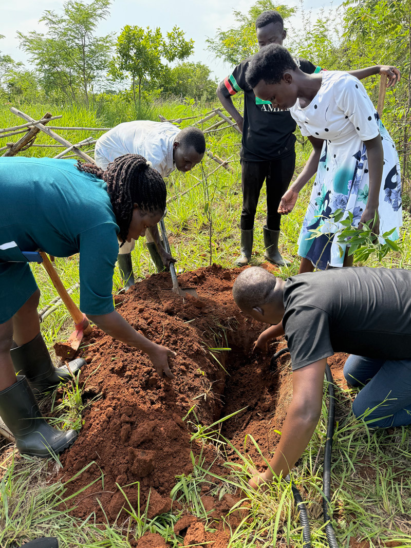 People digging in the ground
