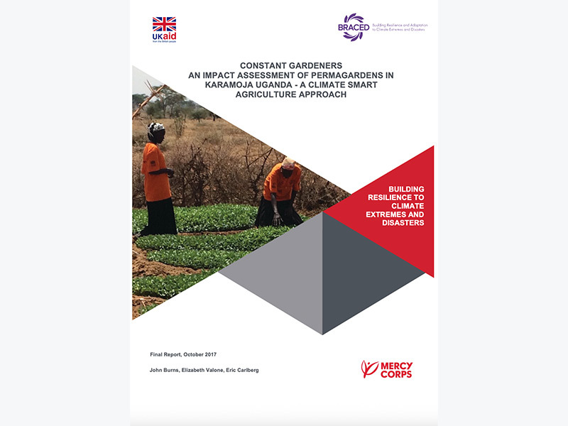 This report presents the results of an impact assessment of the BRACED program's permagarden activities.