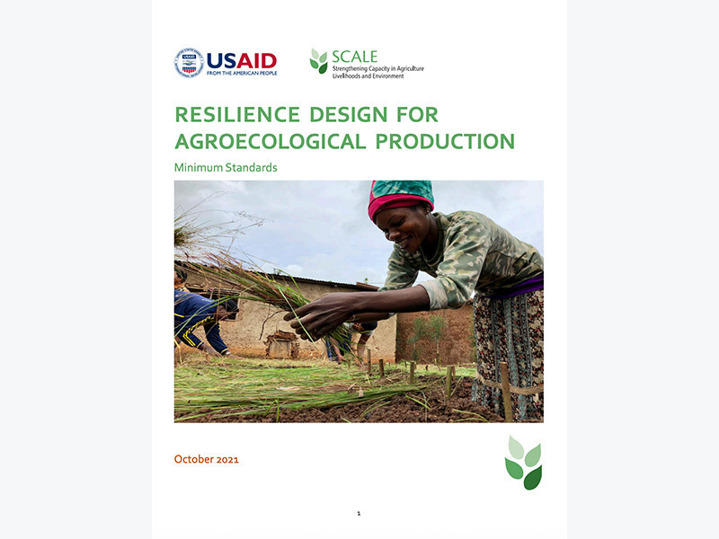 This technical guide provides an overview of eight minimum standards that apply to all RD site interventions.