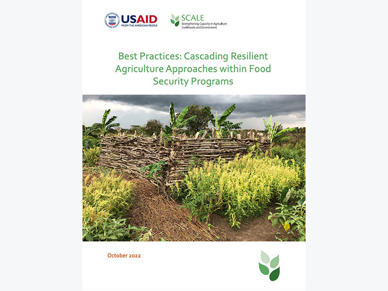 This document presents a set of best practices for program staff to consider when cascading resilient agriculture approaches to partner organizations, agricultural extension staff and farming communities.